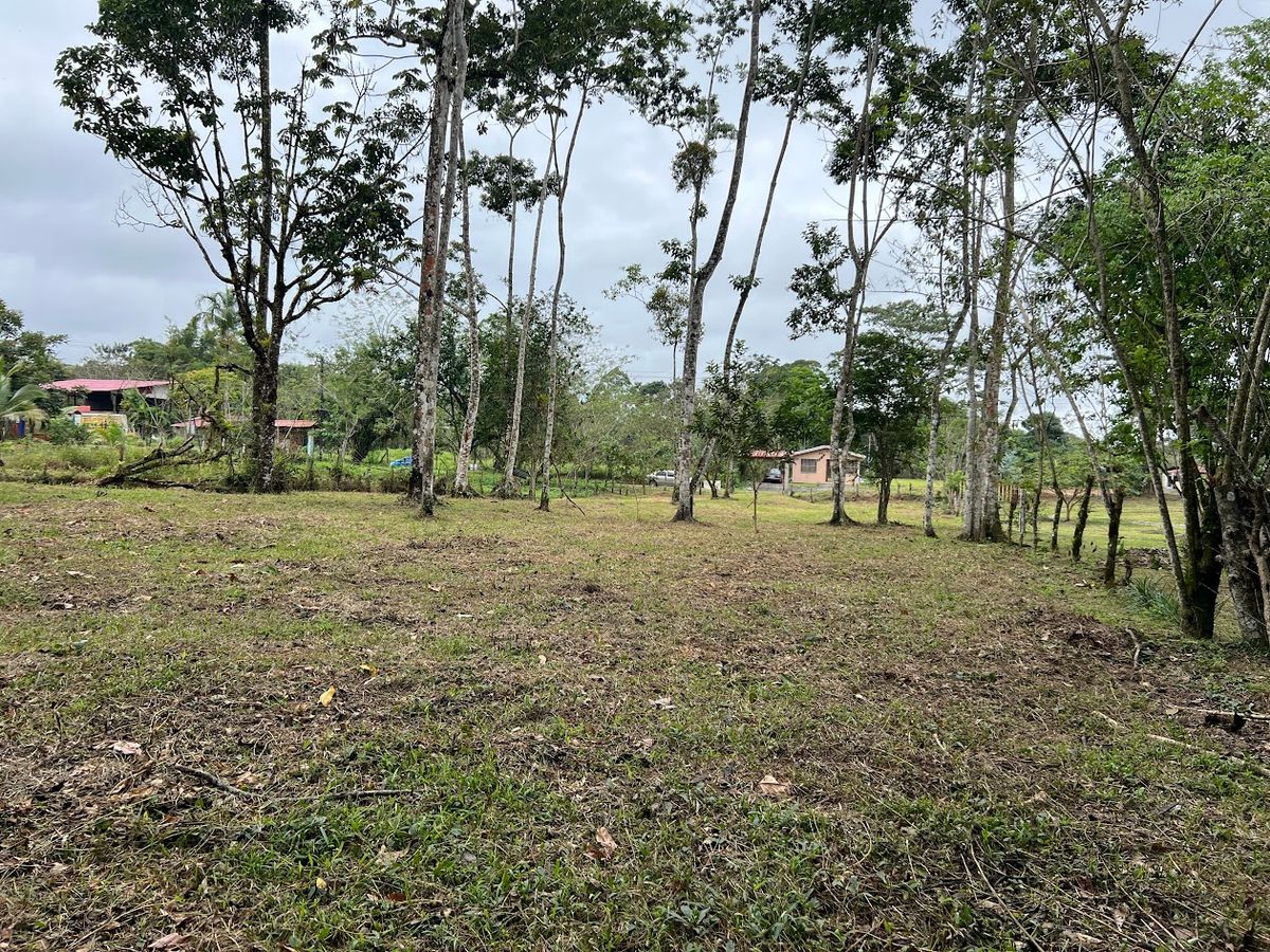 Flat Lot for Sale in Carrizal, Rio Cuarto: Near Hule Lagoon