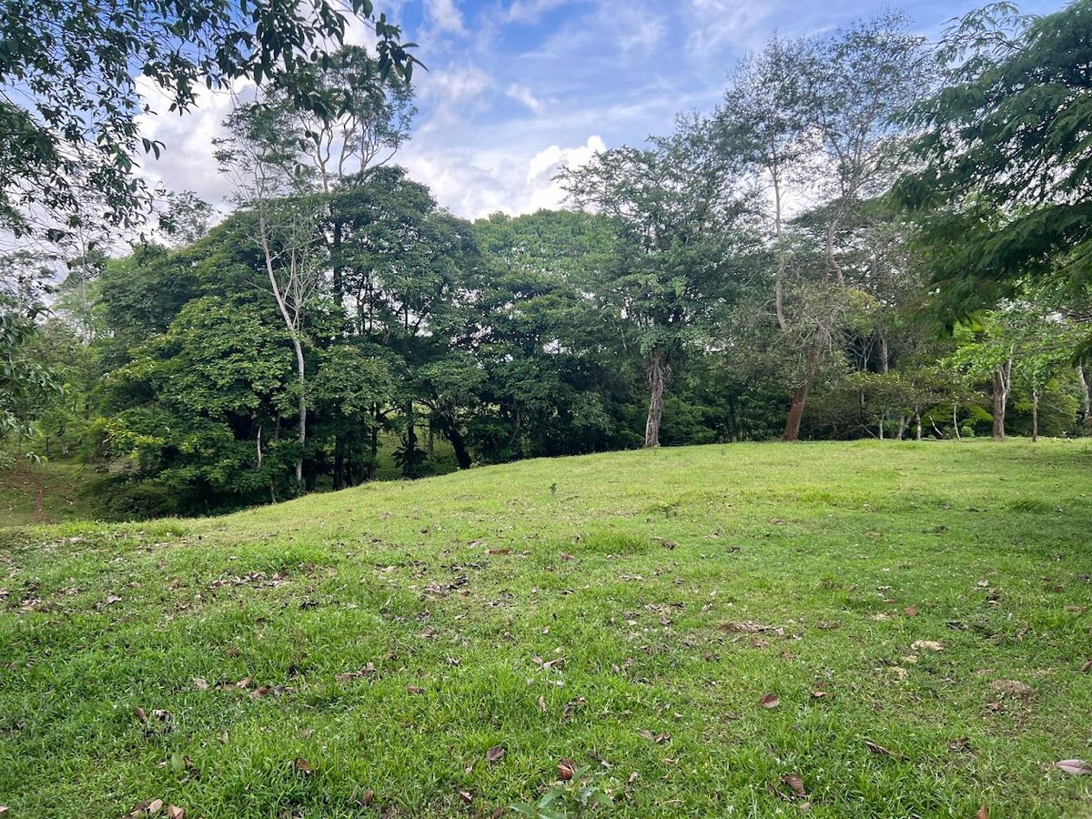 4,036 sqm Versatile Rural Lot in San Jorge de Cutris, San Carlos