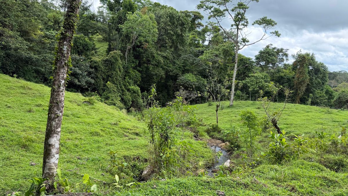 Finca Turística y Agropecuaria en San Carlos: Con Nacientes y Ríos