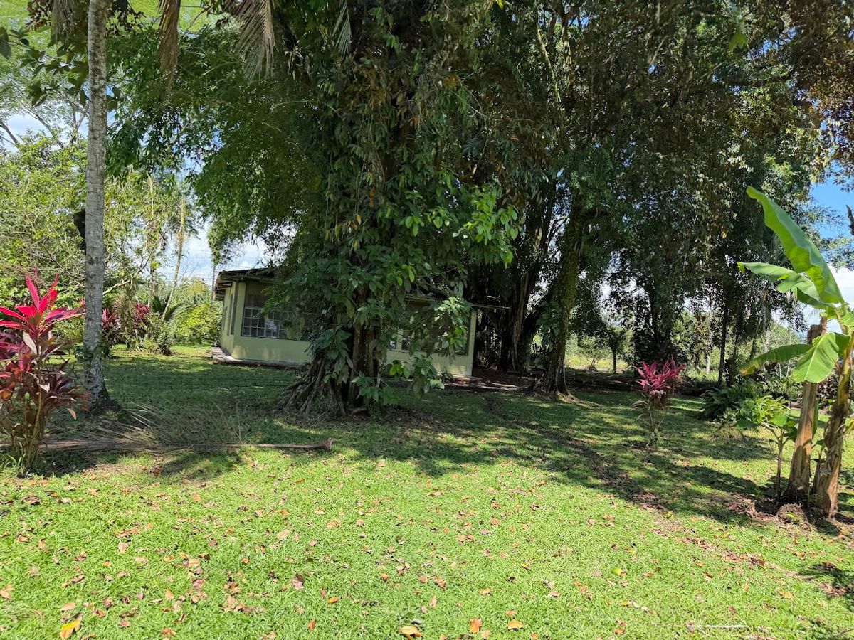 3.6-Hectare Livestock & Commercial Farm in La Vega: Main Road Frontage