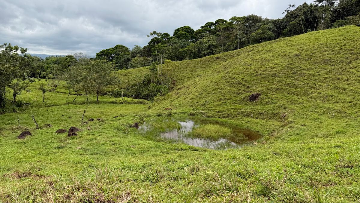 Finca Turística y Agropecuaria en San Carlos: Con Nacientes y Ríos