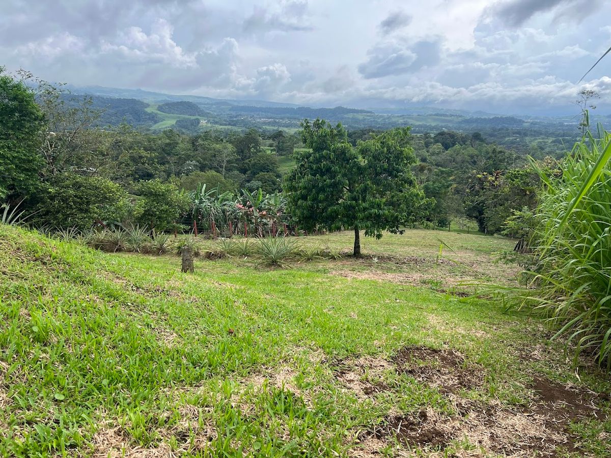 Home with Large Lot for Sale in La Tesalia | San Carlos
