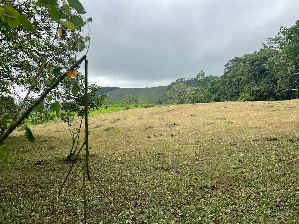 3,000 sqm Flat Lot in San Gerardo: Nature & Investment Opportunity