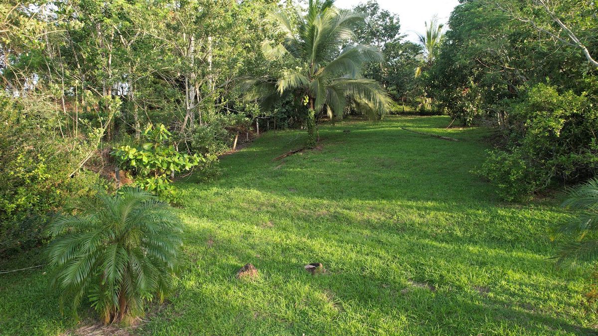 Lot in Cuestillas, Florencia with Panoramic Views