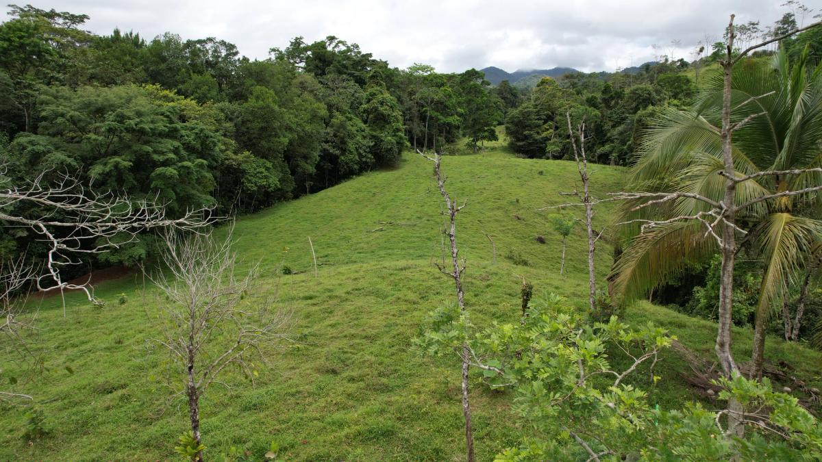 Finca Turística y Agropecuaria en San Carlos: Con Nacientes y Ríos