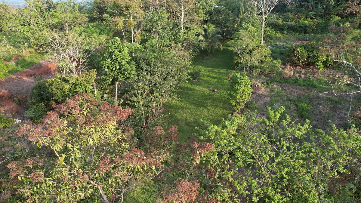 Lot in Cuestillas, Florencia with Panoramic Views