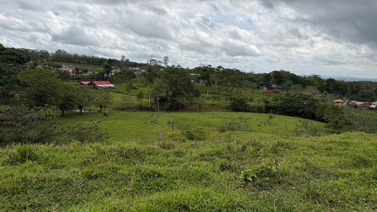 Finca Turística y Agropecuaria en San Carlos: Con Nacientes y Ríos