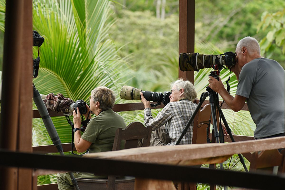 Hotel Eco-Lodge en Venta en Boca Tapada: Paraíso en San Carlos