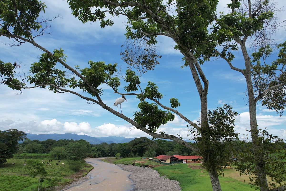 Lot in Cuestillas de Florencia: Privacy and Nature