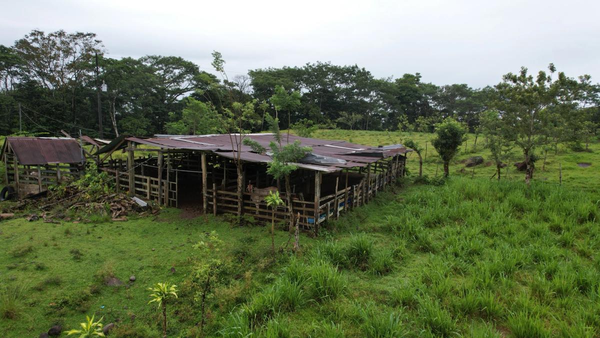 Finca Ganadera entre Upala y Bijagua: Dividida por Vía Nacional