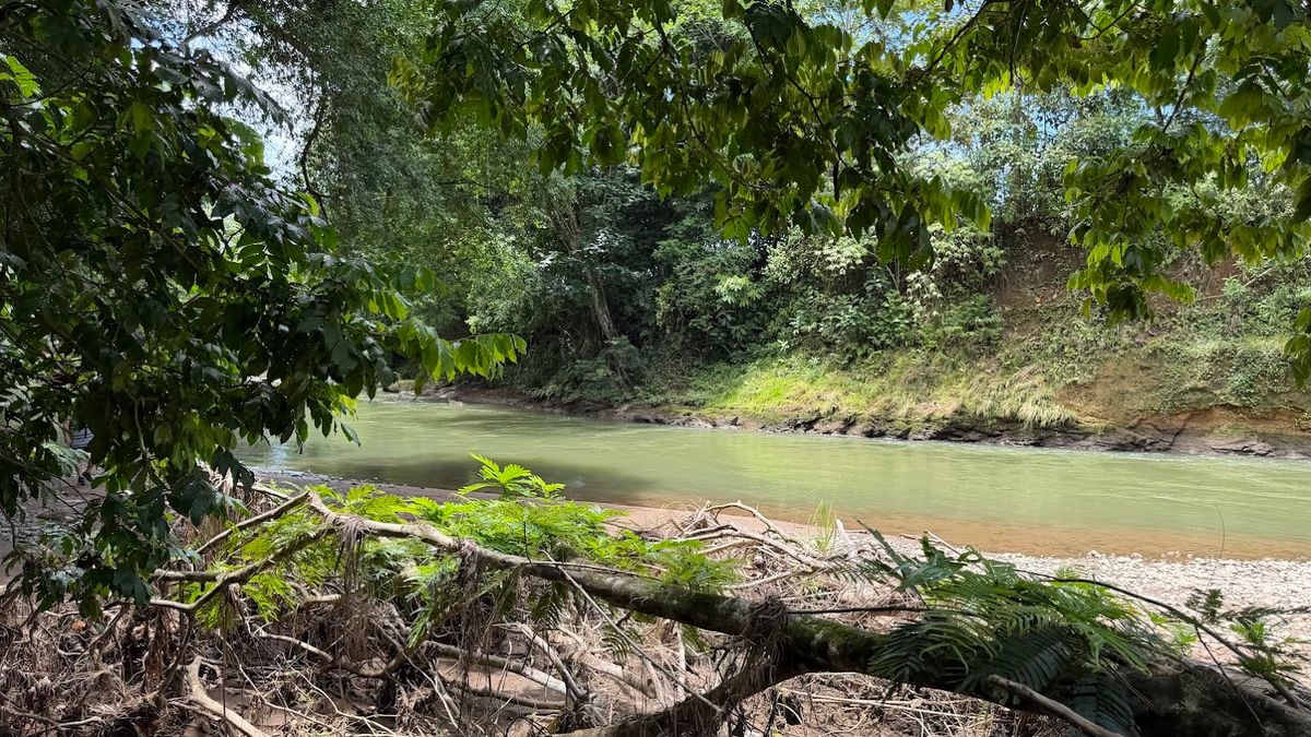 2-Hectare Farm in La Perla, La Fortuna: Commercial Frontage & Peñas Blancas River