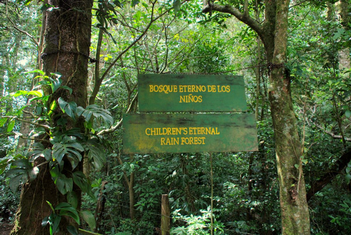 El bosque eterno de los niños