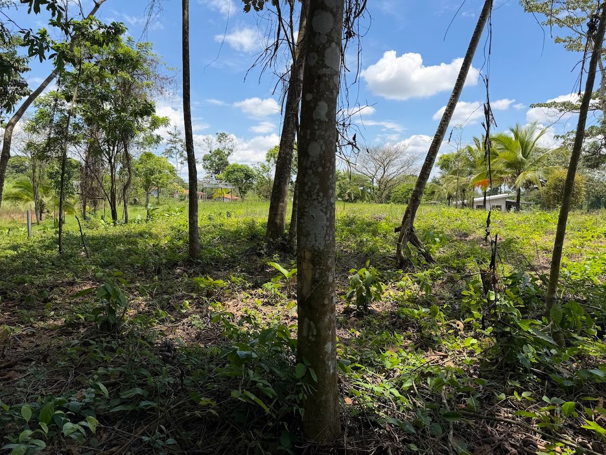 725 sqm Lot in Chachagua: Near La Fortuna & Arenal Volcano