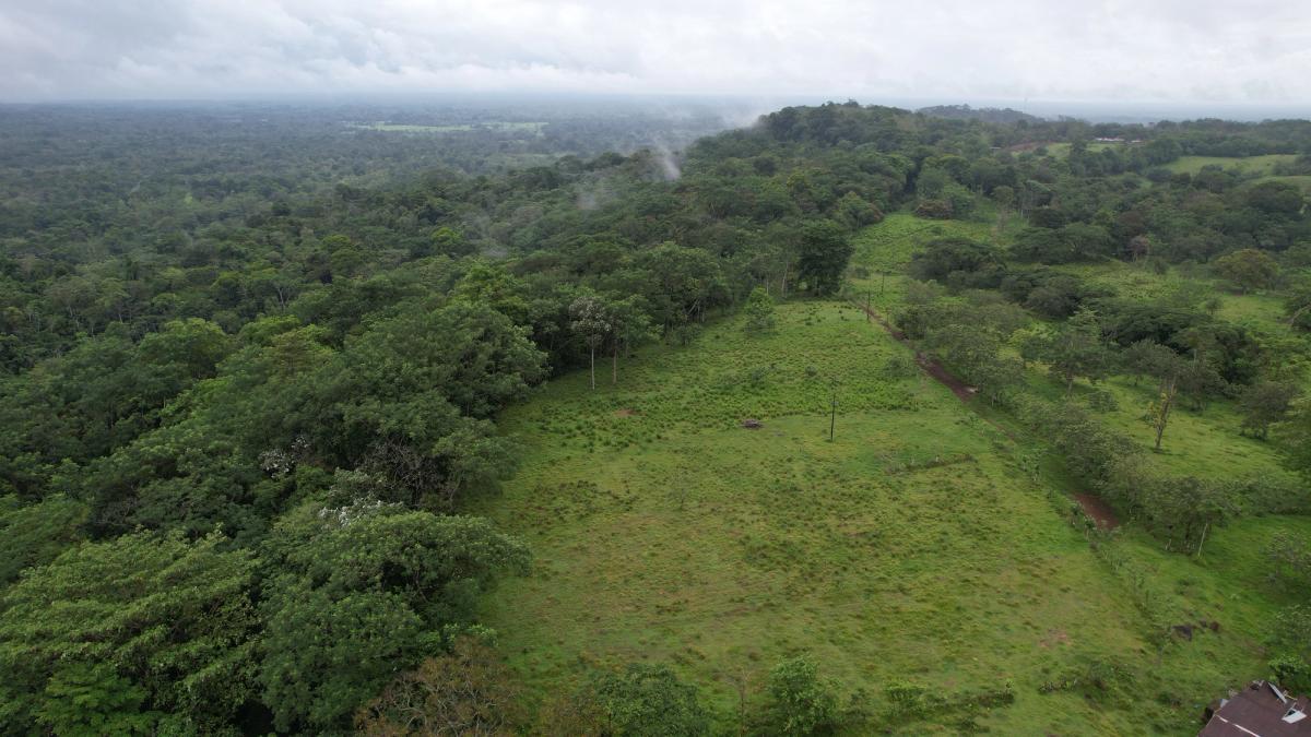 Finca Ganadera entre Upala y Bijagua: Dividida por Vía Nacional