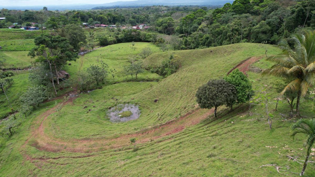 Finca Turística y Agropecuaria en San Carlos: Con Nacientes y Ríos
