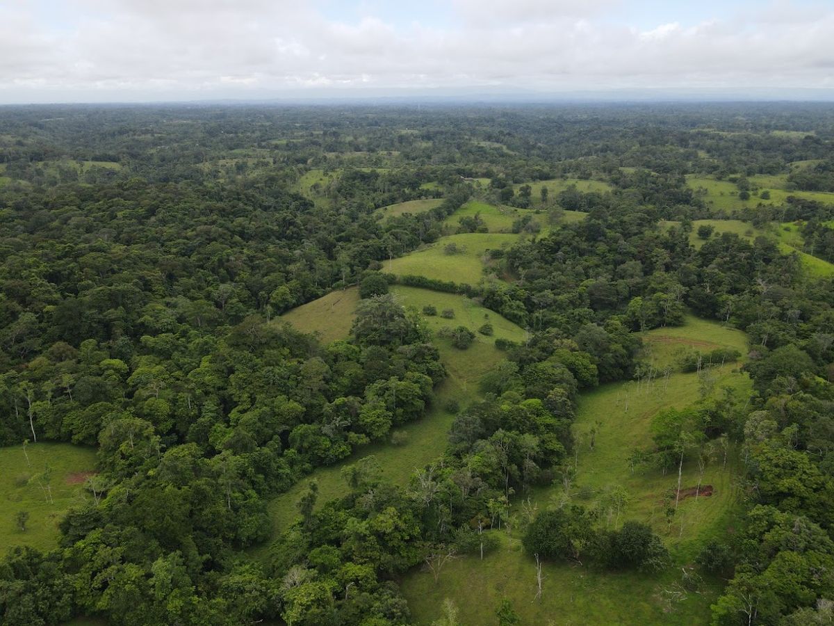 Finca ganadera en San Carlos: Topografía plana, apartos y montaña