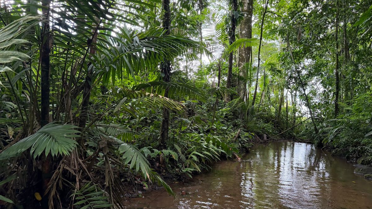 Finca Turística y Agropecuaria en San Carlos: Con Nacientes y Ríos