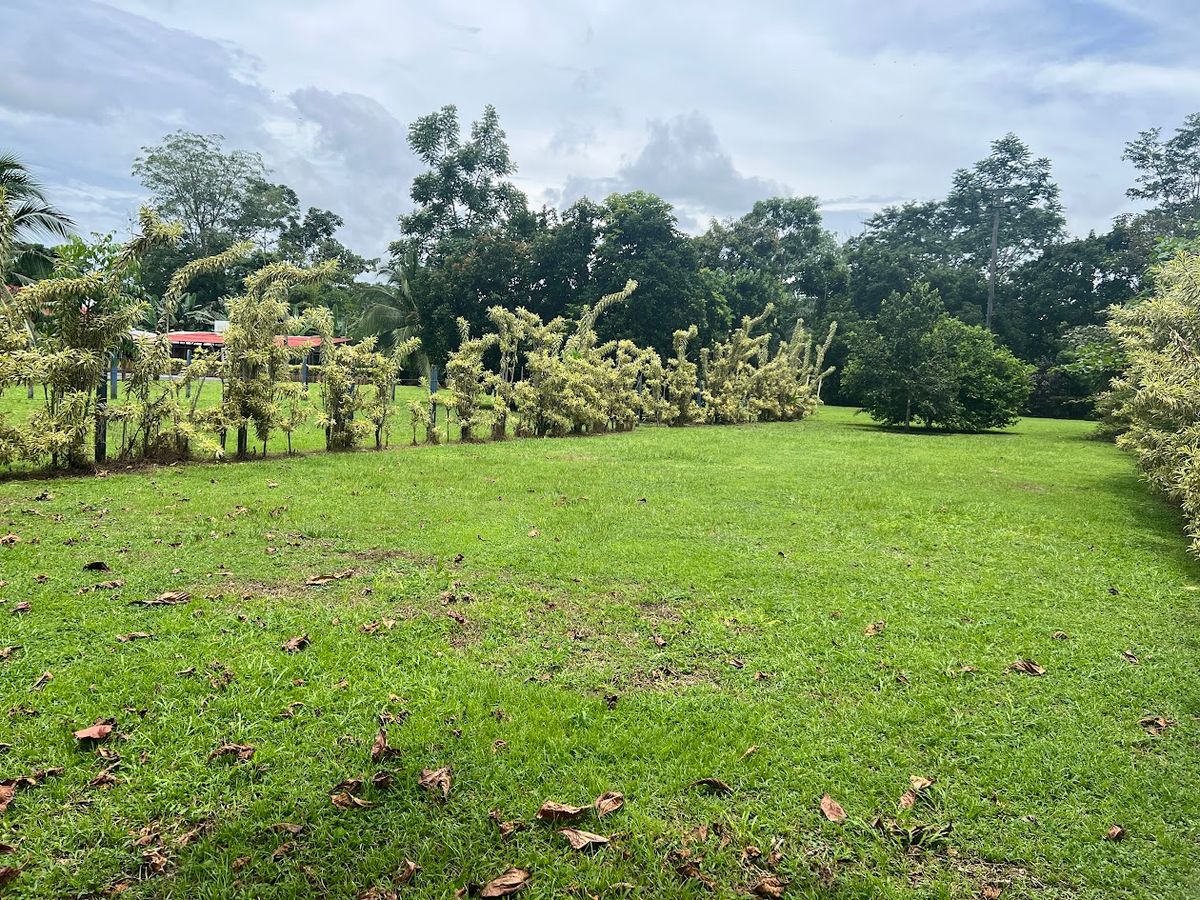 Lot in Cuestillas de Florencia: Privacy and Nature