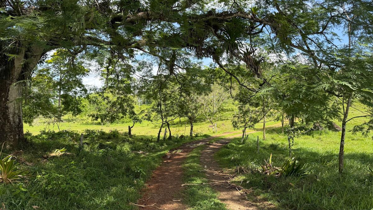Fully Operational Livestock Development in Cuatro Esquinas