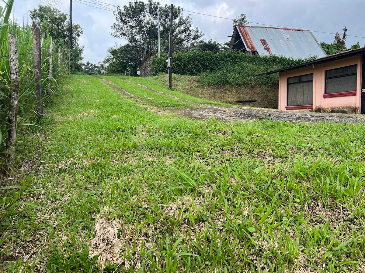 Home with Large Lot for Sale in La Tesalia | San Carlos
