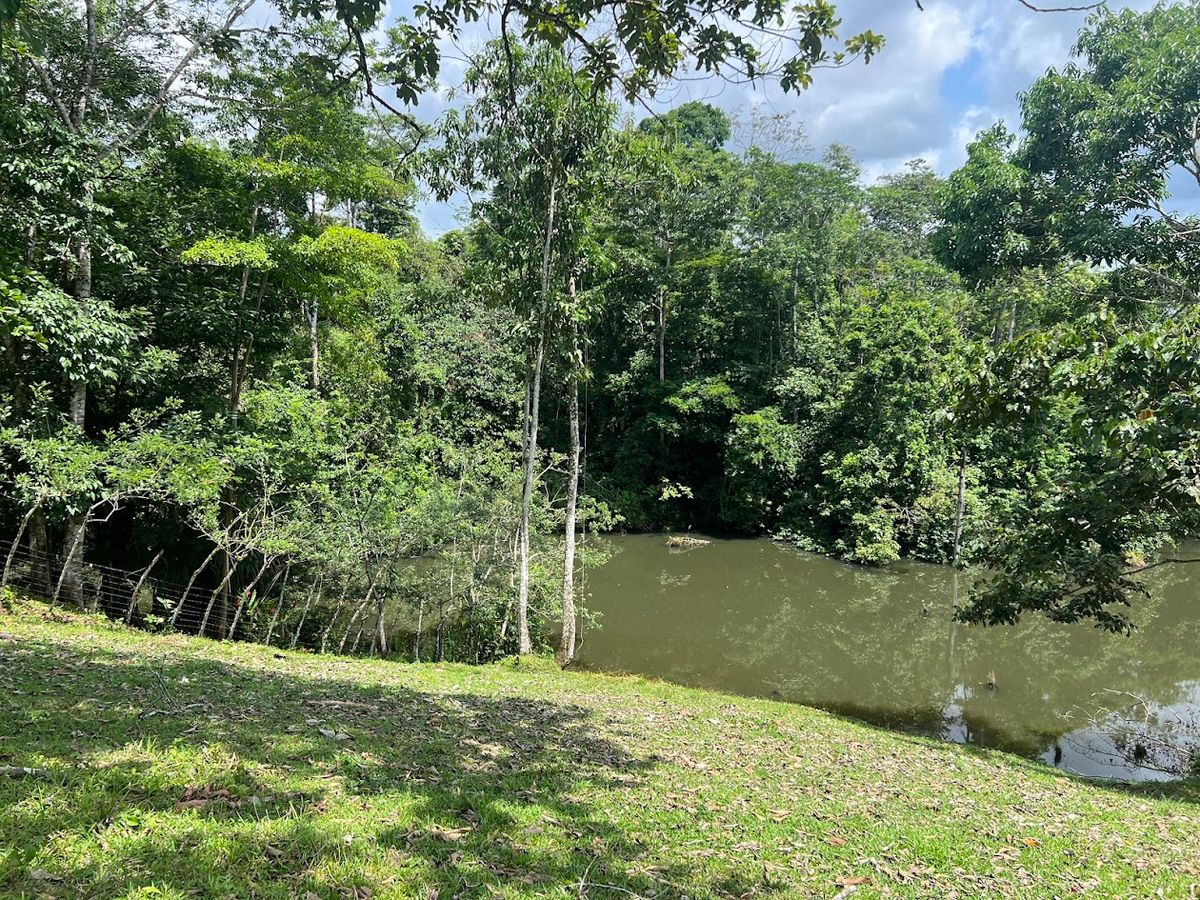 Luxury Lakefront Estate in Cutris: Volcano Views & Nature Sanctuary.