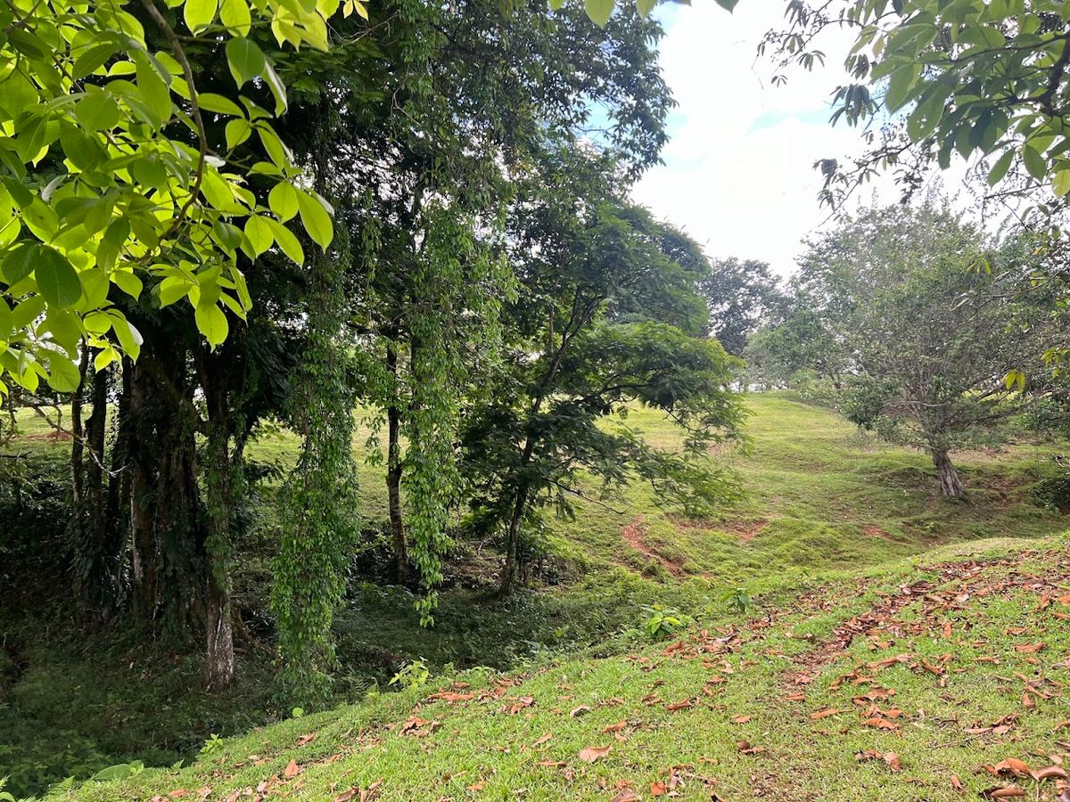4,036 sqm Versatile Rural Lot in San Jorge de Cutris, San Carlos