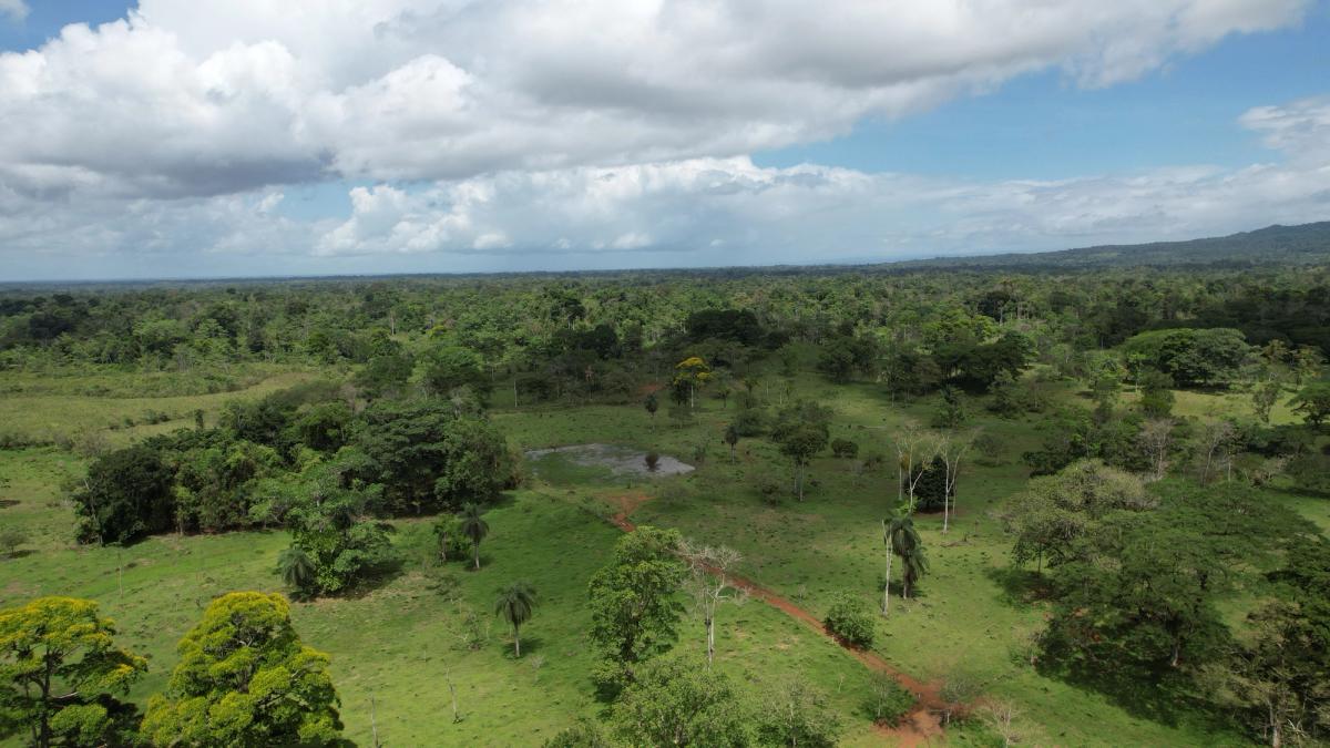 Fully Operational Livestock Development in Cuatro Esquinas