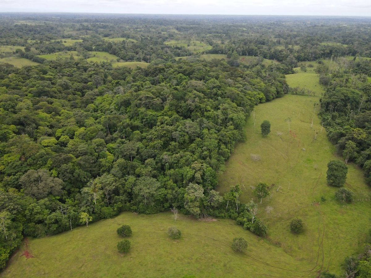 Finca ganadera en San Carlos: Topografía plana, apartos y montaña