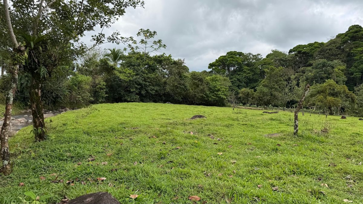 Finca Turística y Agropecuaria en San Carlos: Con Nacientes y Ríos