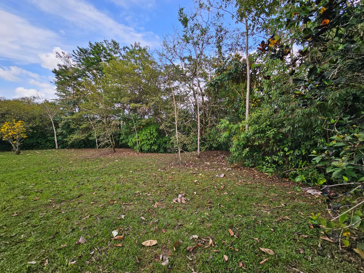 Finca de 3.2 Hectáreas en Peñas Blancas: Con Río y Potencial Turístico