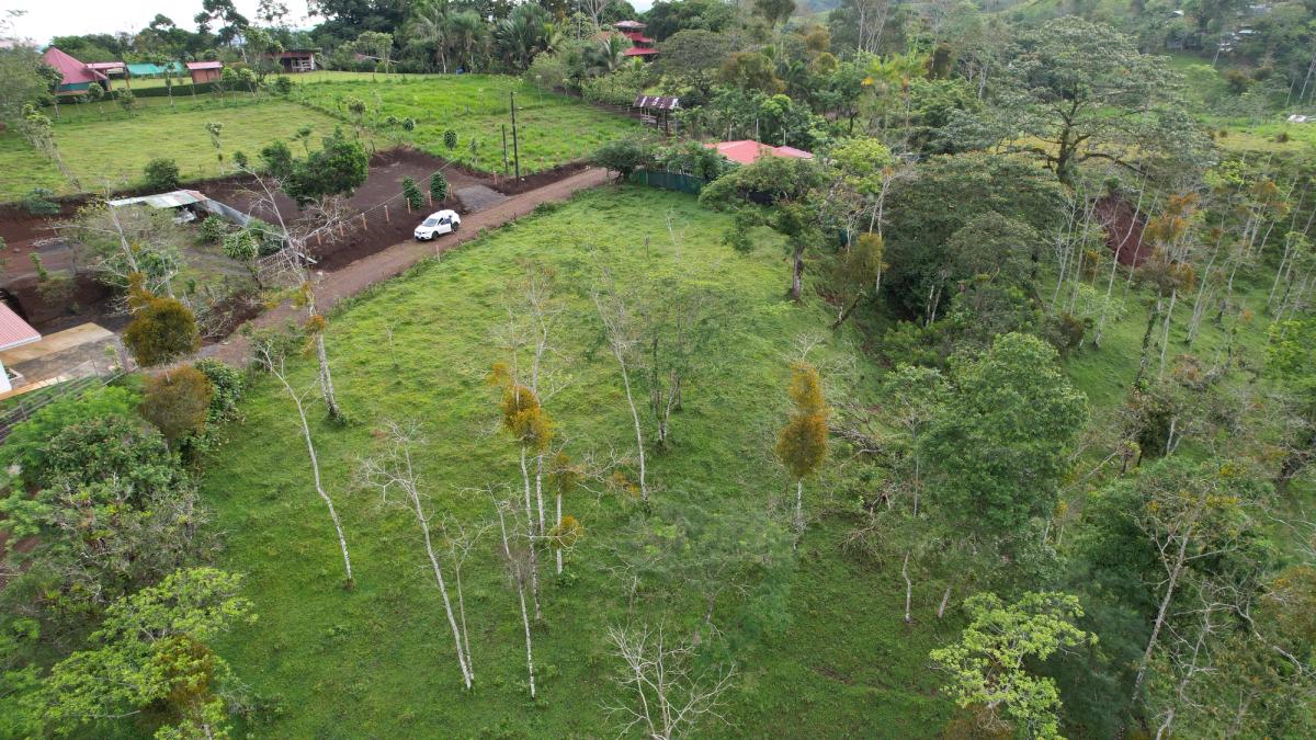 Lotes en Cedral de Ciudad Quesada: Topografía Plana y Paz