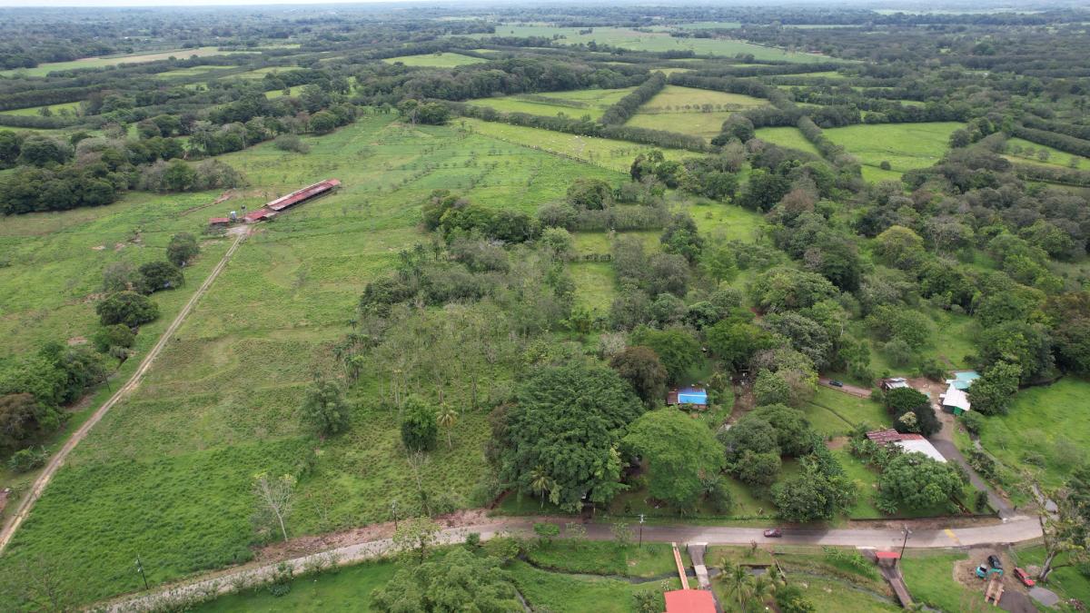 3.6-Hectare Livestock & Commercial Farm in La Vega: Main Road Frontage