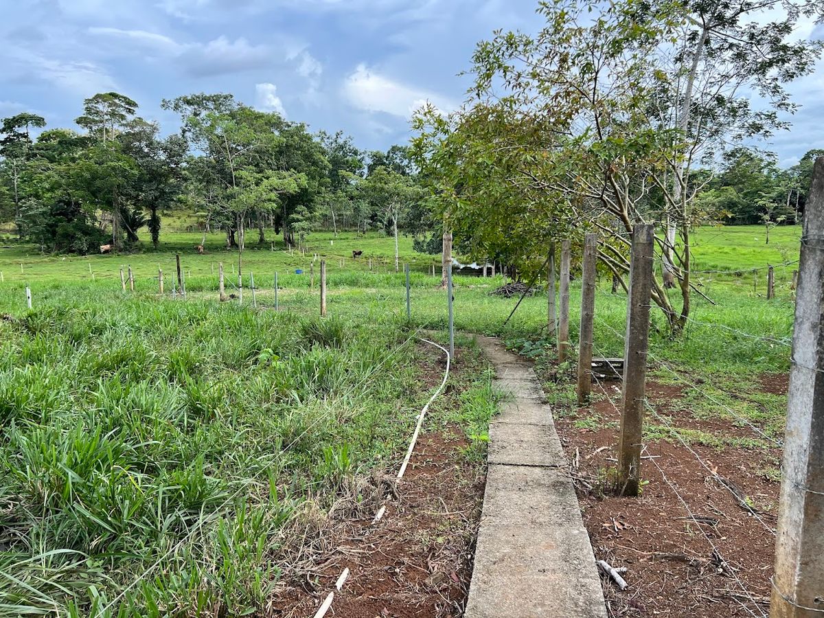 7-Hectare Self-Sufficient Dairy Farm and Cabin in Los Chiles