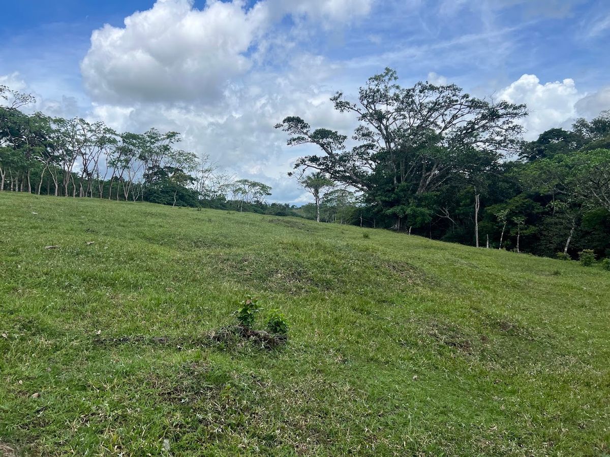 4,036 sqm Versatile Rural Lot in San Jorge de Cutris, San Carlos