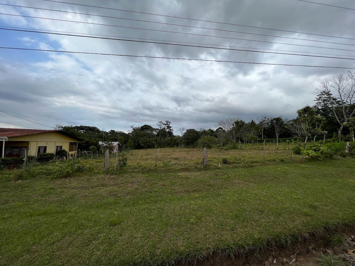 3,000 sqm Flat Lot in La Marina: Ready to Build & Prime Location