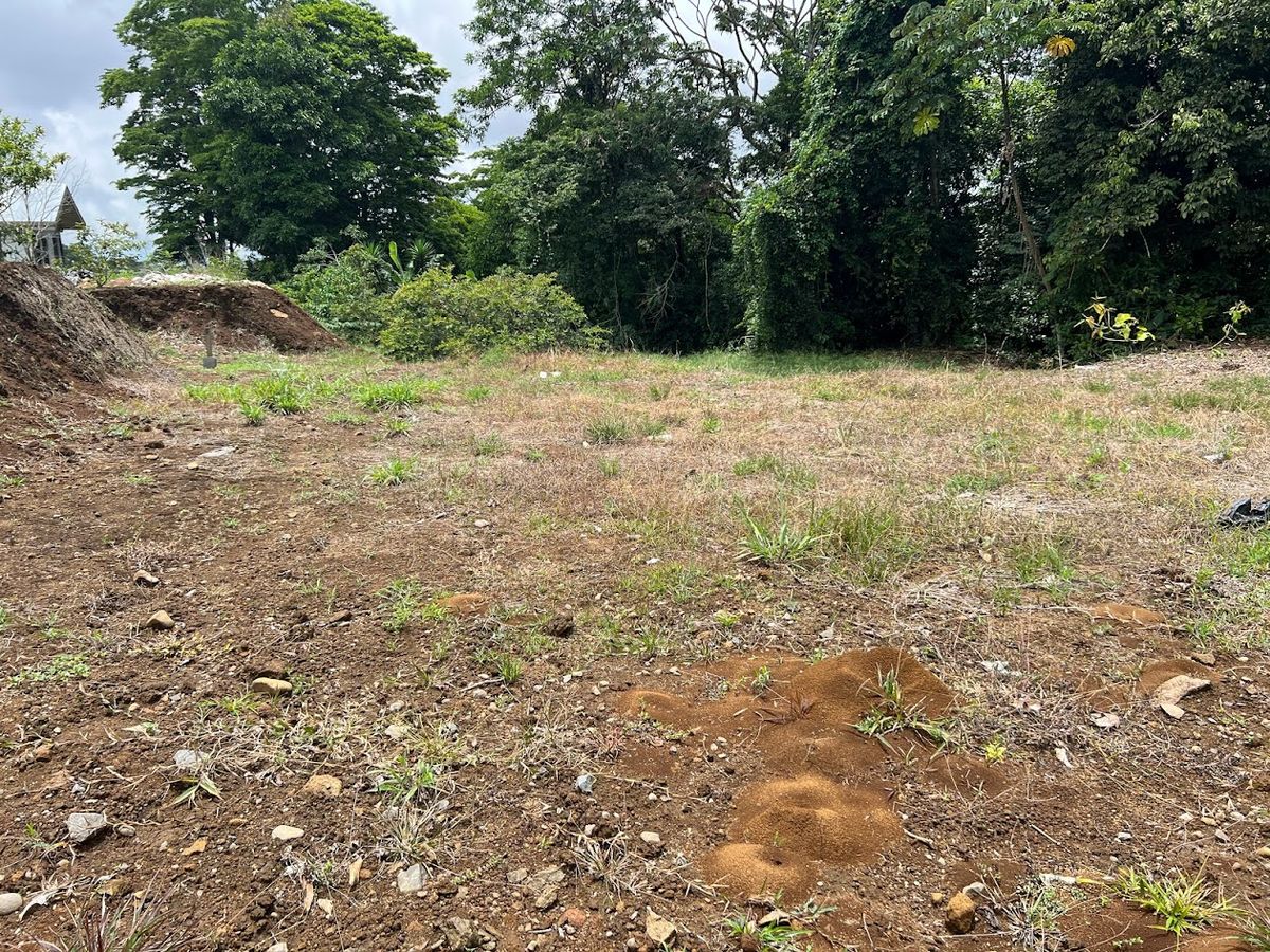 Lotes en La Isla de Ciudad Quesada: Aptos para bonocrédito