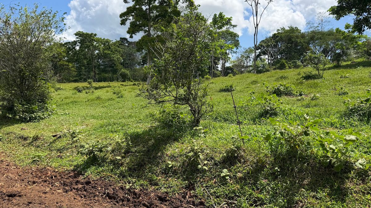 Fully Operational Livestock Development in Cuatro Esquinas