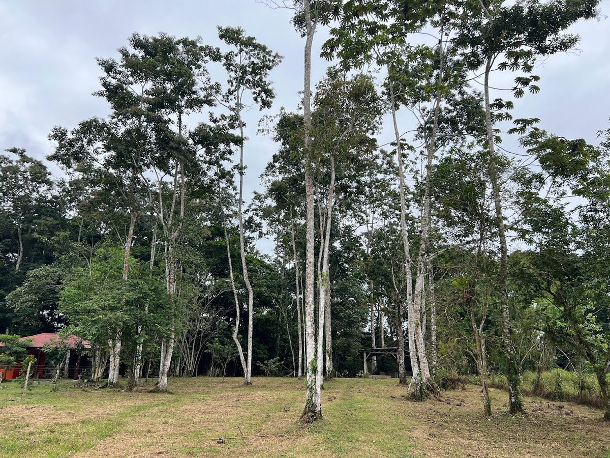 Flat Lot for Sale in Carrizal, Rio Cuarto: Near Hule Lagoon