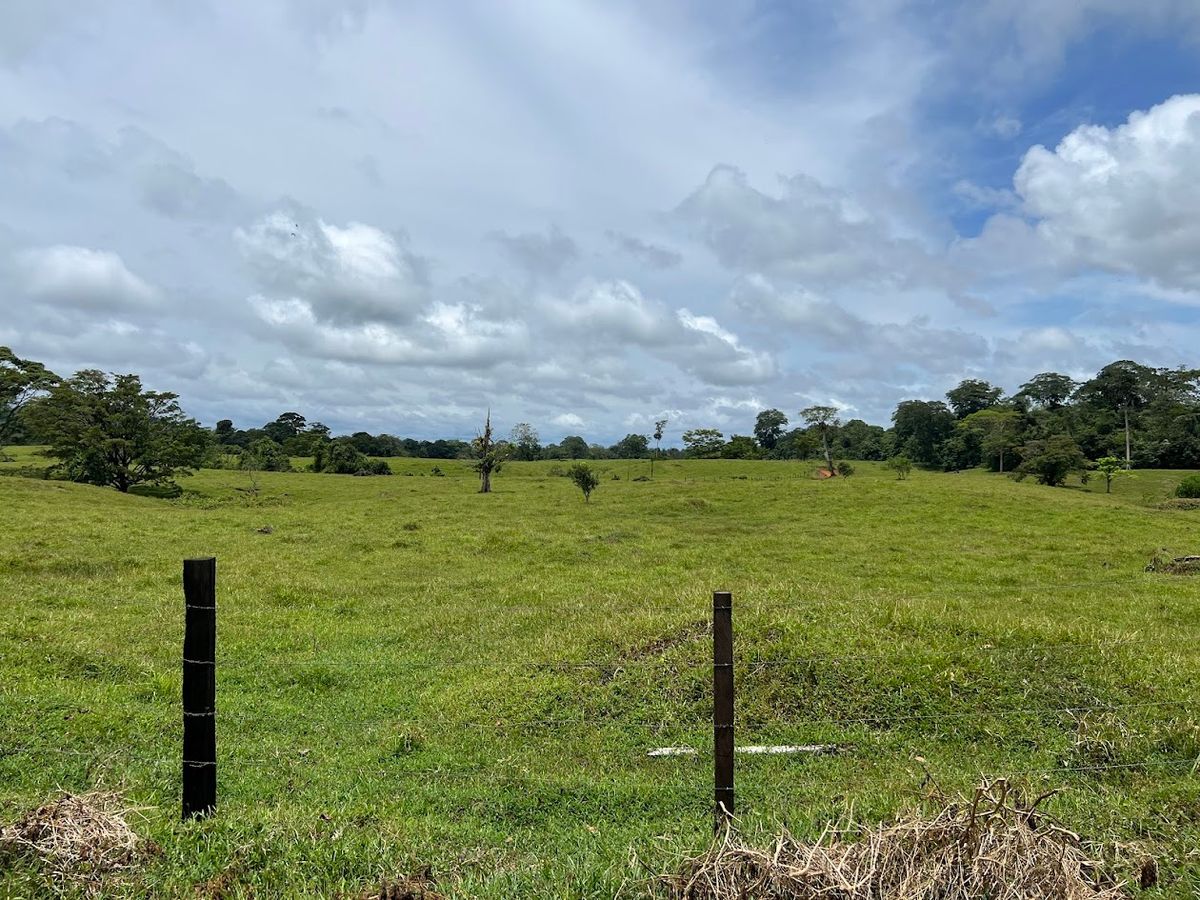 Cattle ranch in Costa Rica, San Carlos