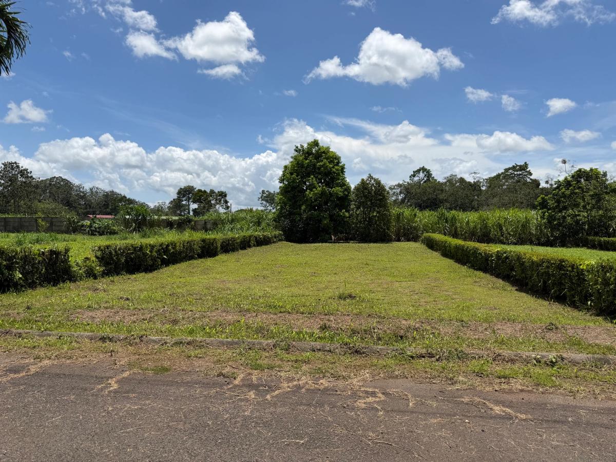 Lote Residencial de 429 m² en Florencia: Privacidad y Gran Potencial