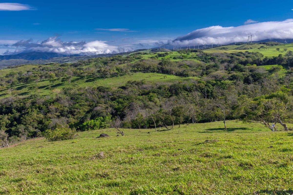 Lotes en Tilarán: Quintas Exclusivas cerca del Lago Arenal