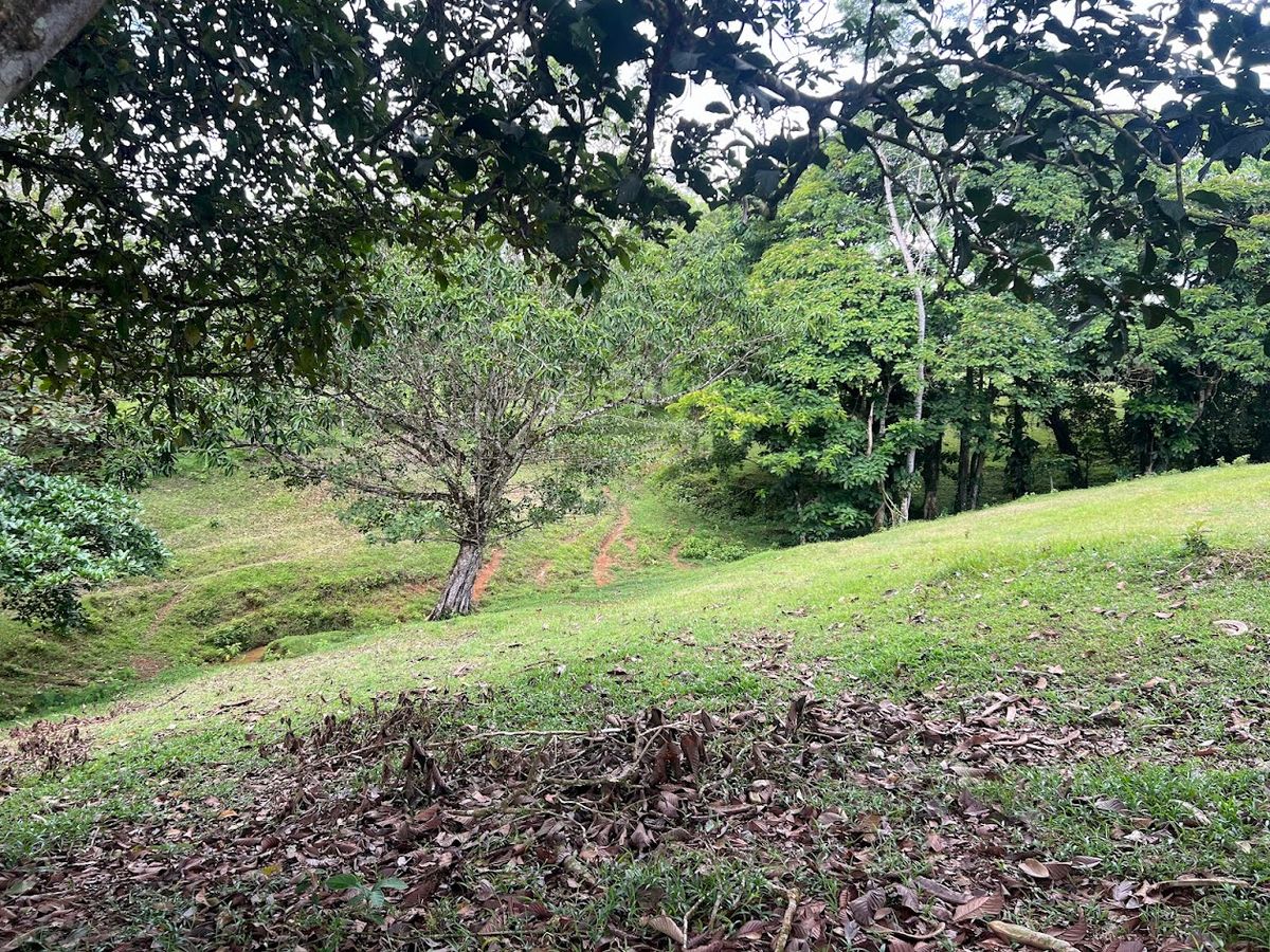 4,036 sqm Versatile Rural Lot in San Jorge de Cutris, San Carlos