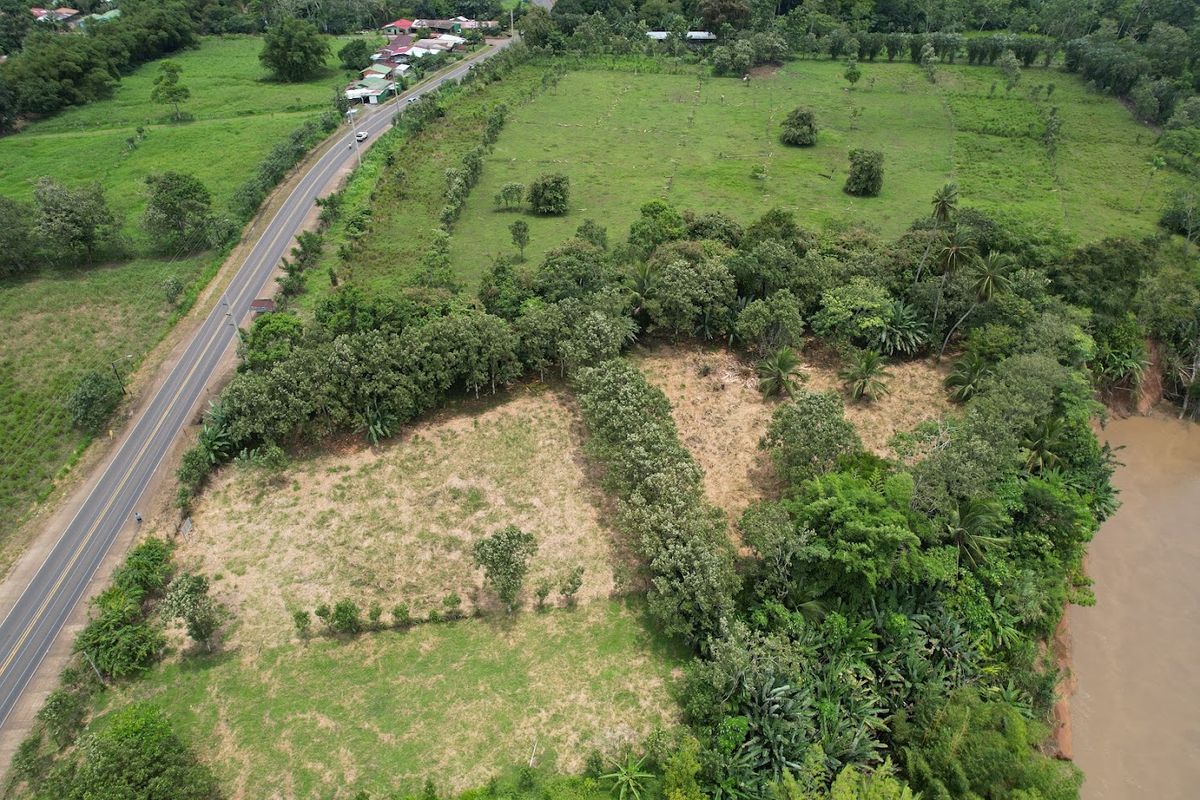 Commercial Land in Boca Arenal: Near Muelle Logistics Hub & Free Trade Zone.