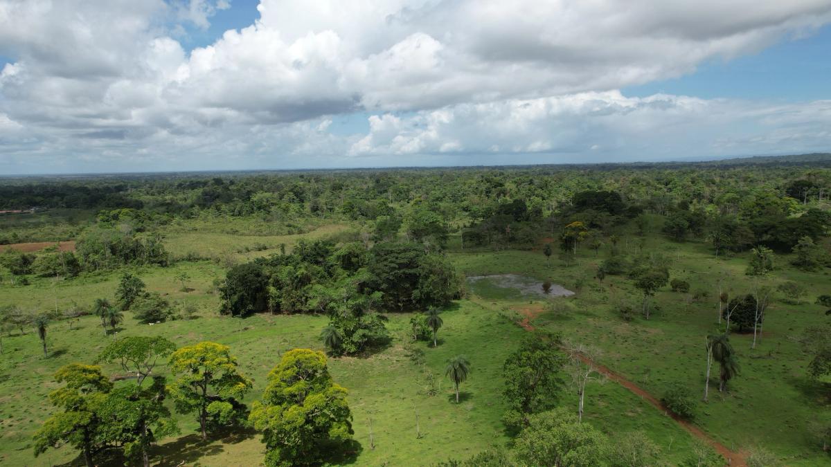 Fully Operational Livestock Development in Cuatro Esquinas