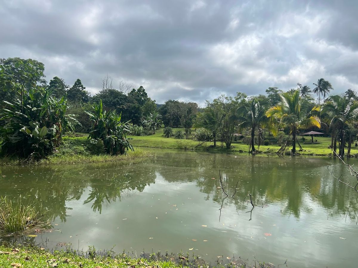 Stunning 6.4-Acre Lakefront Estate with Tourism Potential in La Palmera