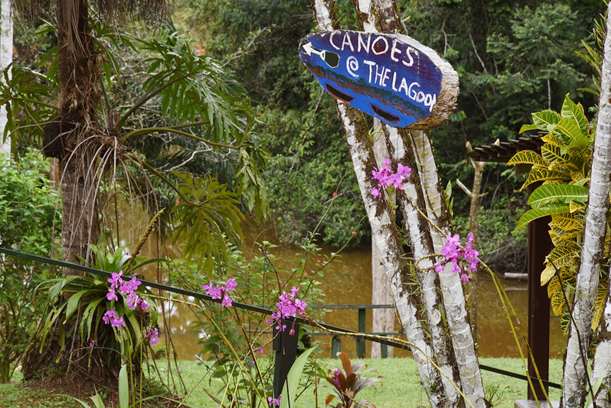 Hotel Eco-Lodge en Venta en Boca Tapada: Paraíso en San Carlos