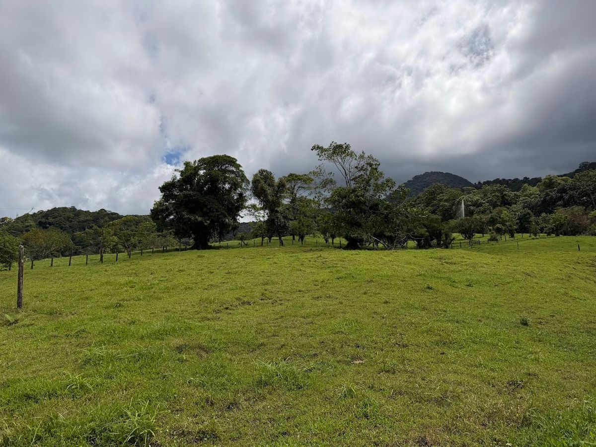 uxury Estate in La Fortuna: Waterfall Views & Mountain Sanctuary