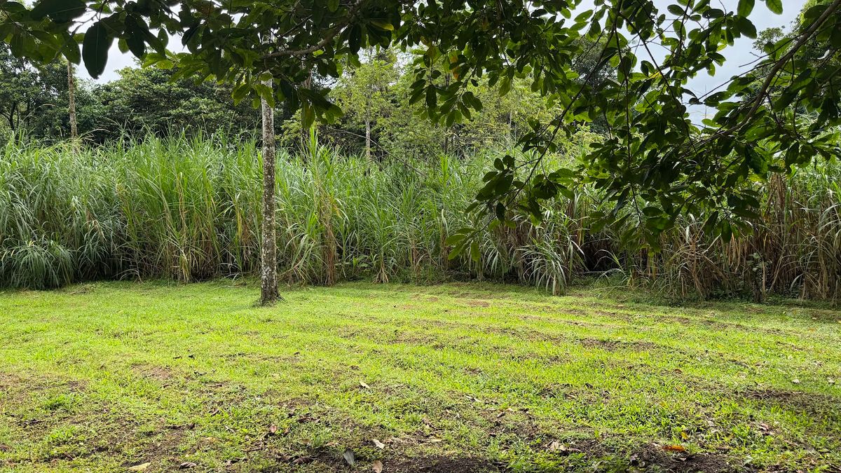 Land for Country Home in La Tigra, San Carlos: Bordering River