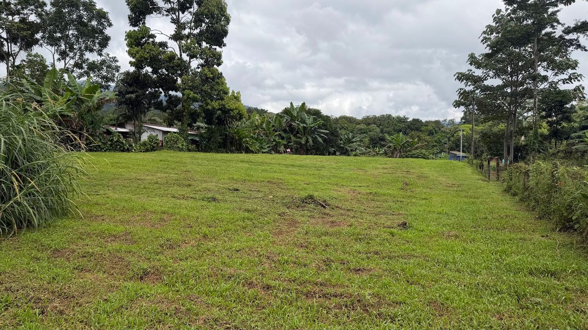 Land for Country Home in La Tigra, San Carlos: Bordering River