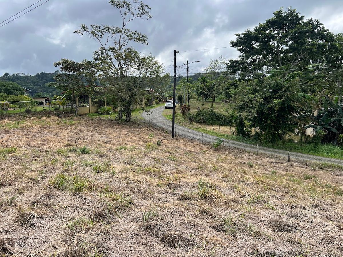 Lotes con precio de Oportunidad en Ciudad Quesada: en Puente Casa